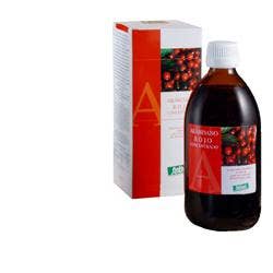 Mirtillo Rosso Concentrato 490ml