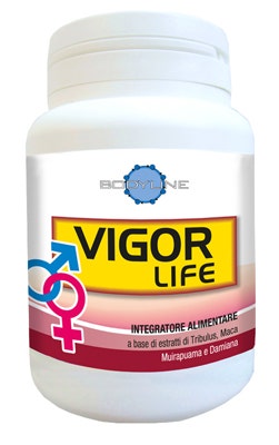 Bodyline Vigor Life 40 Capsule