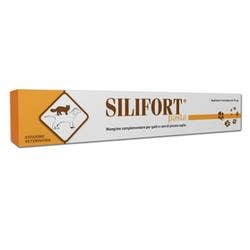 Silifort Pasta con Siringa 30g