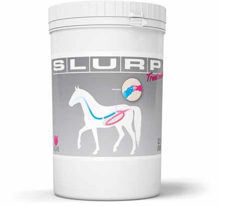 Slurp Treatment Mangime Complementare Per Transito Intestinale Equini 800g