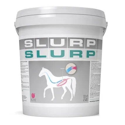 Acme Slurp Polvere Per Equini 10g