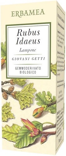 Erbamea Lampone Gemmoderivato 50ml