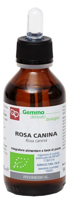 Rosa Canina Gemmoderivato Bio 100ml