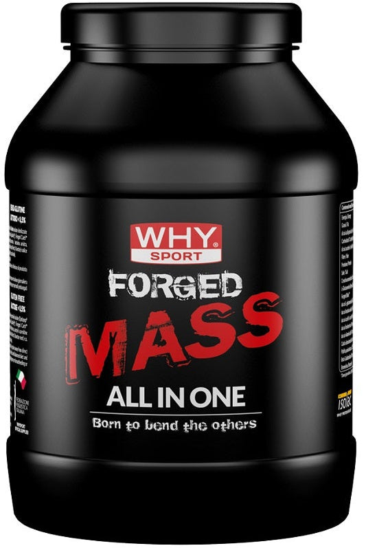 Why Sport Forged Mass Cacao 1 Kg