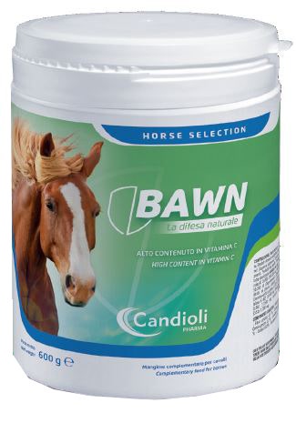 Bawn Mangime Complementare Per Equini Sportivi 600g