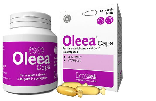 Oleea Caps 60 Capsule