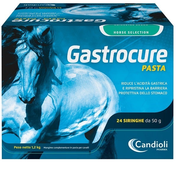 Candioli Gastrocure Pasta Per Cavalli 24 Siringhe Da 50g