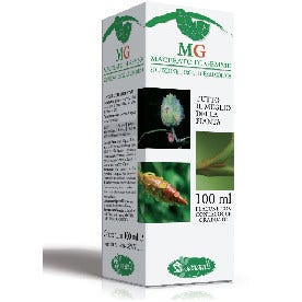 Fico Macerato Di Gemme 100ml