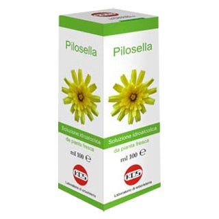 Pilosella Soluzione Idroalcolica Pianta Fresca 100ml