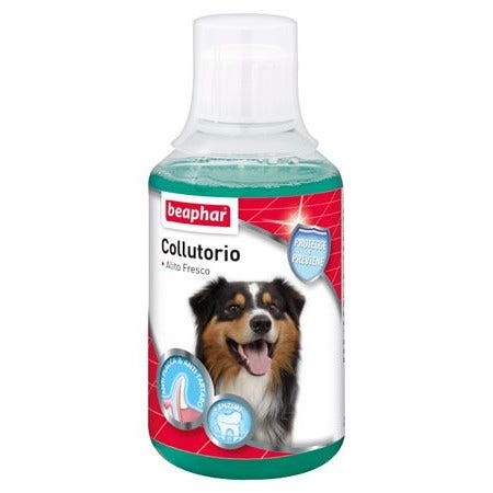 Beaphar Collutorio Alito Fresco Cani 250ml