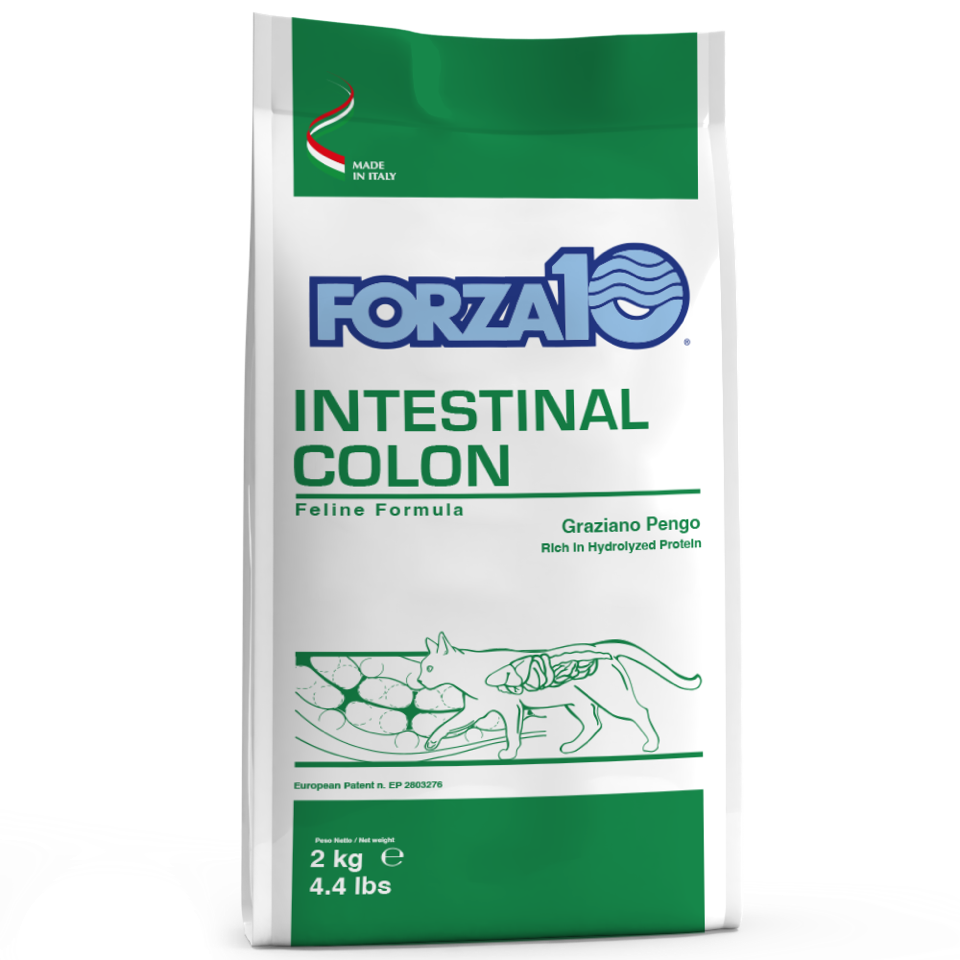 Forza10 Active Intestinal Colon Cibo Secco Gatti Adulti Sacco 2kg