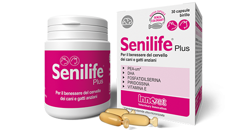 Senilife Plus Cani/Gatti Anziani 60 Capsule