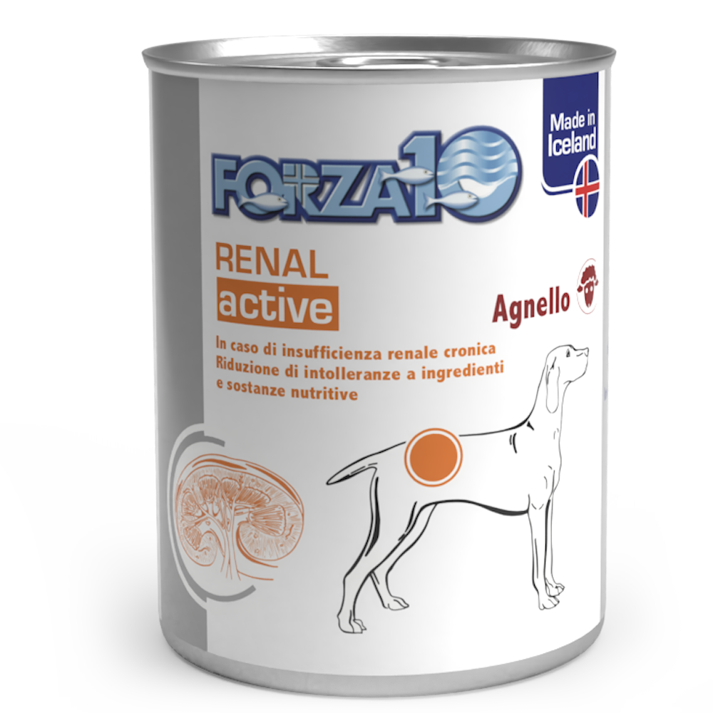 Forza10 Actiwet Renal Cibo Umido Cani Adulti Barattolo 390g