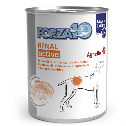 Forza10 Actiwet Renal Cibo Umido Cani Adulti Barattolo 390g