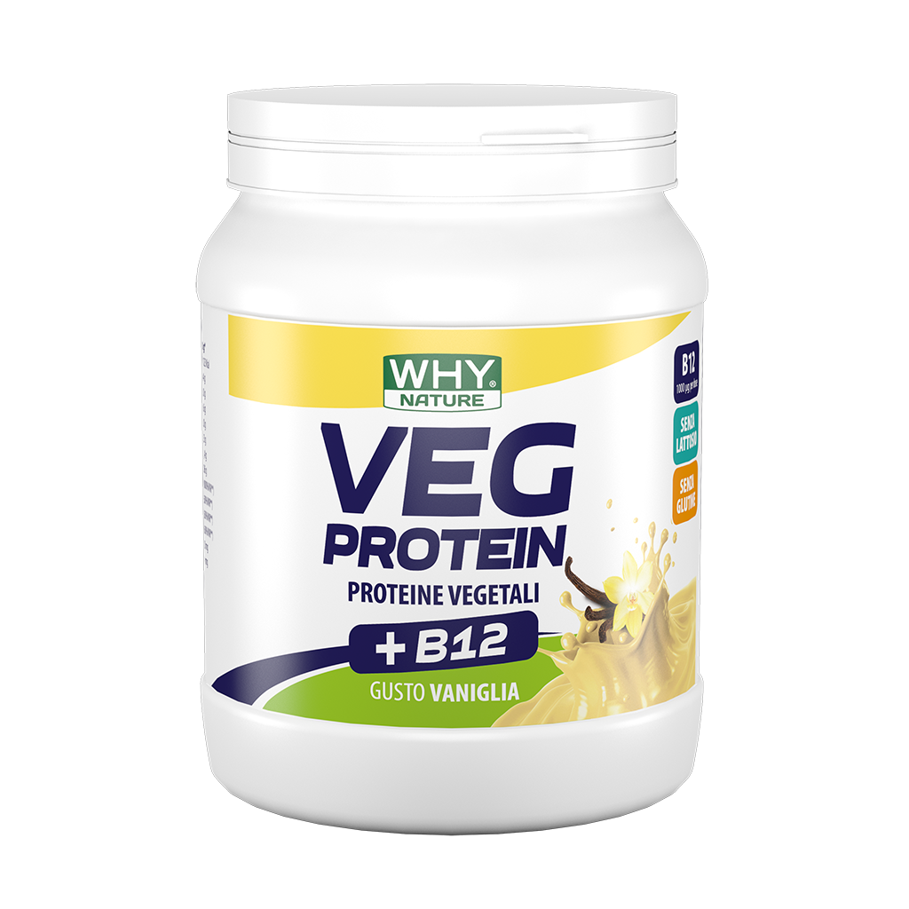 Whynature Veg Protein Vaniglia 450g