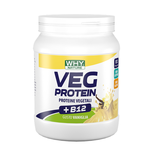 Whynature Veg Protein Vaniglia 450g