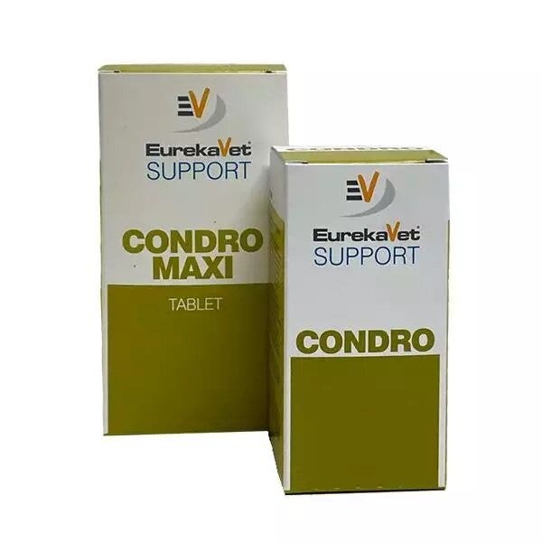 Vetcare Condro Maxi 100 Compresse