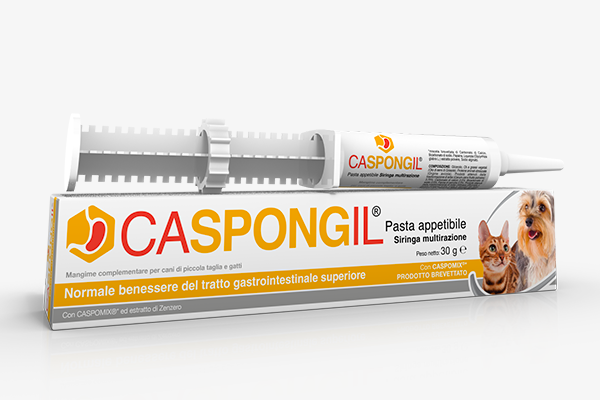 Caspongil Pasta Gastrointestinale Cane E Gatto 30g