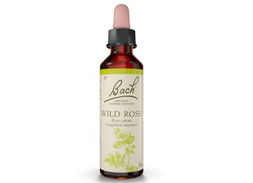 Fiori di Bach Wild Rose 20ml