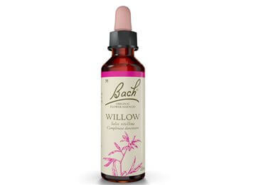 Fiori di Bach Willow 20ml