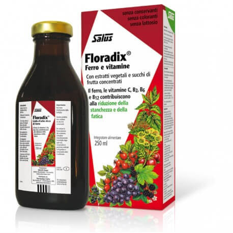 Floradix 250ml