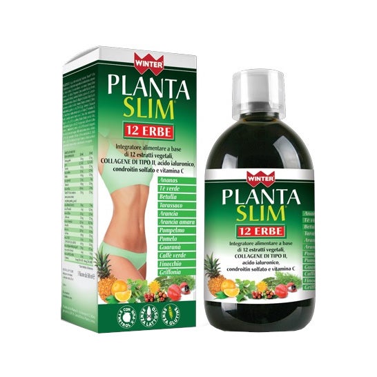 Winter Planta Slim 12 Erbe 500ml