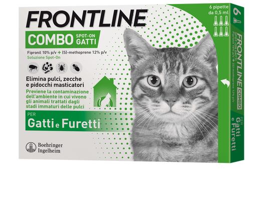 Frontline Combo Gatti 6 pipette